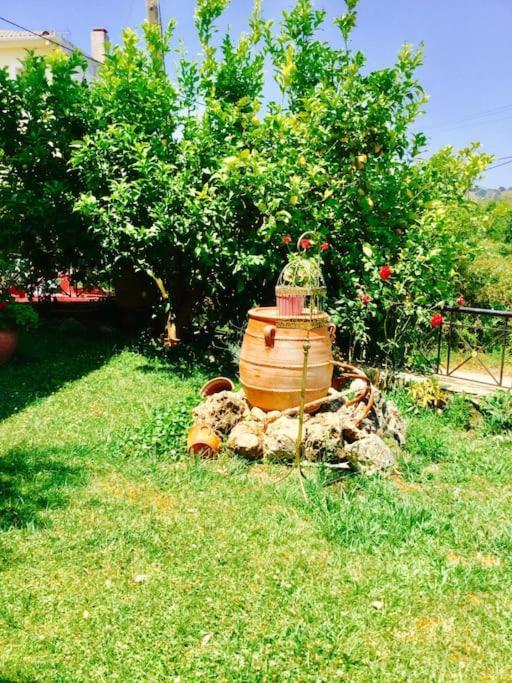 イグメニツァΔιαμέρισμα Στην Περιοχή Εθνικής Αντίστασηςアパートメント エクステリア 写真